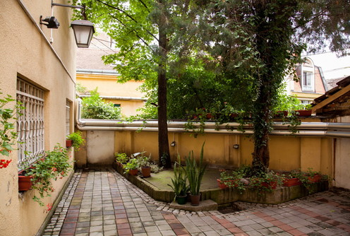 Dvorište biblioteka (ilustracija) (foto: Đorđe Đoković)