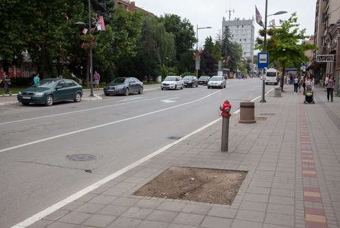 Posečeno drveće u Karađorđevoj (foto: Đorđe Đoković)