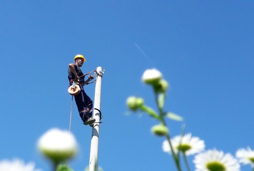 Radovi na obnovi elektromreže  (foto: Dragan Belajac)