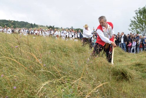 Kosidba na Rajcu (foto: Anđela  Ivanović)