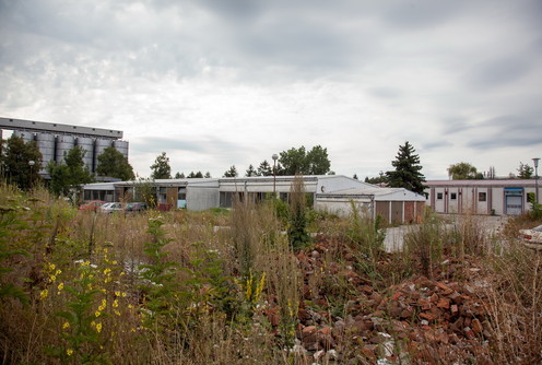 Srbijanka (foto: Đorđe Đoković)