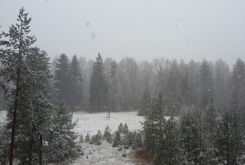 Prvi sneg na Divčibarama (foto: Kolubarske.rs)