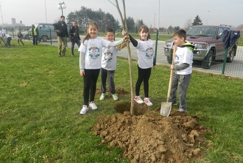 Sadnja stabala u Olimpijskoj aleji (foto: Dragana Nedeljković)