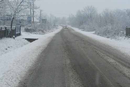 Lokalni put (foto: Dragana Nedeljković)