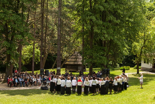 Svečanost u Brankovini (arhiva) (foto: Đorđe Đoković)