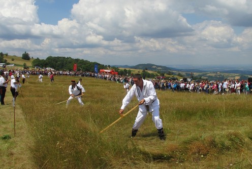 Kosidba na Rajcu (ilustracija) (foto: Kolubarske.rs)