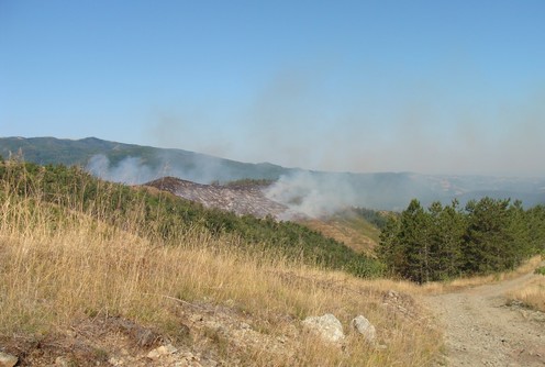 Šumski požar u Planinici (foto: Kolubarske.rs)