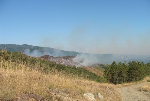 Požar (foto: Kolubarske.rs)