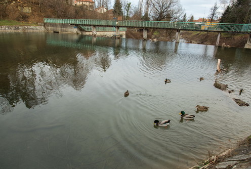Berkova brana (foto: Đorđe Đoković)