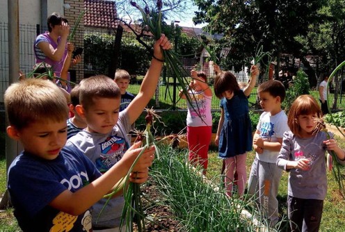 Mališani u baštenskim poslovima (foto: Foto arhiva Vrtica)