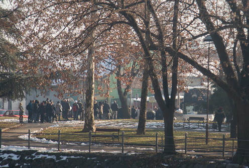 Organizovano za Beograd (foto: Đorđe Đoković)