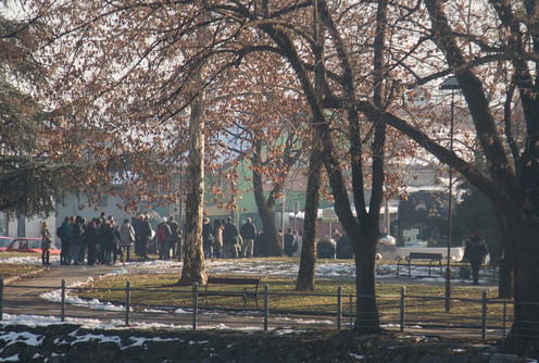 Organizovano za Beograd (foto: Đorđe Đoković)