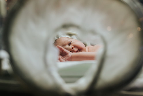 Beba (ilistracija) (foto: Đorđe Đoković)