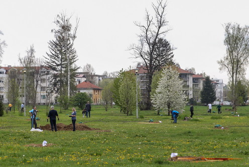 Rotarijancu Valjeva i Velenja sade drveće (foto: Đorđe Đoković)