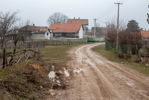 Blatnjav put u V. Loznici (ilustracija) (foto: Đorđe Đoković)