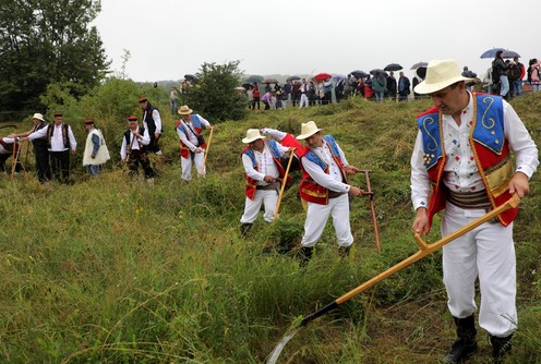 Kosidba na Rajcu (foto: Vlada Ivanović)