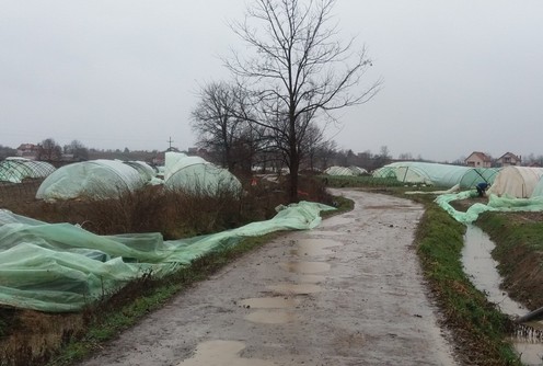 Zaselak Gračica u Sovljaku (foto: Dragana Nedeljković)