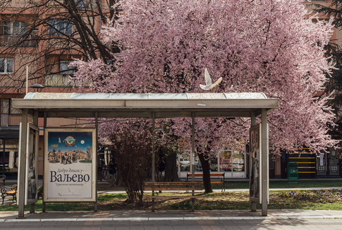 Dobro došli u Valjevo  (foto: Đorđe Đoković)