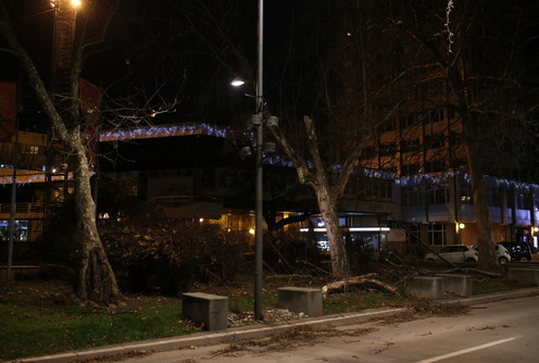Polomljene grane u Karađorđevoj (foto: Đorđe Đoković)