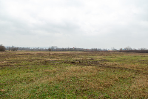 Buduća Privredna zona (foto: Đorđe Đoković)