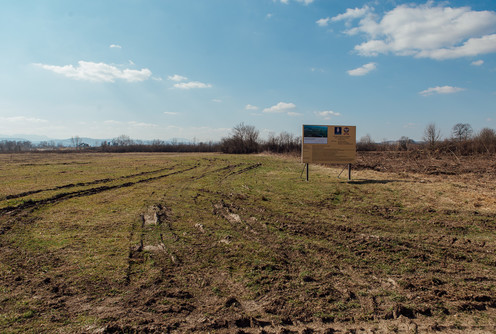 Radovi na ulici u Privrednoj zoni (2. mart) (foto: Đorđe Đoković)