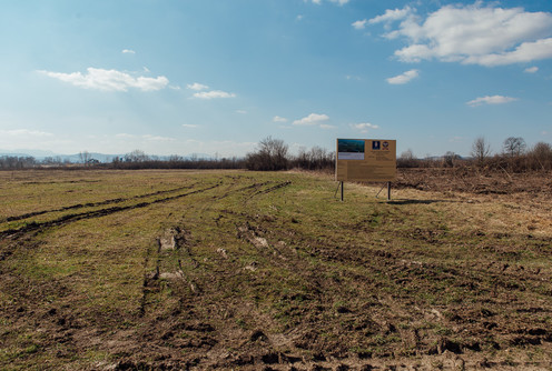 Radovi na ulici u Privrednoj zoni (2. mart) (foto: Đorđe Đoković)