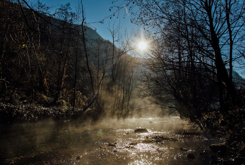 Gradac (foto: Đorđe Đoković)