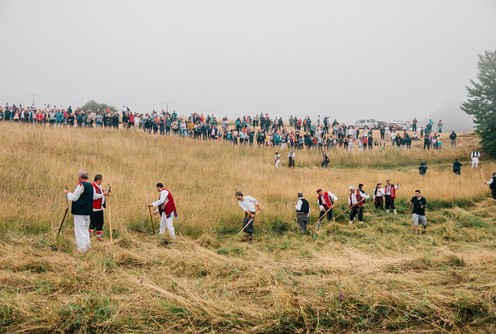 Kosidba na Rajcu (2021.) (foto: Sara Radivojević)