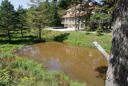Jezero u centru Divčibara (foto: Kolubarske.rs)