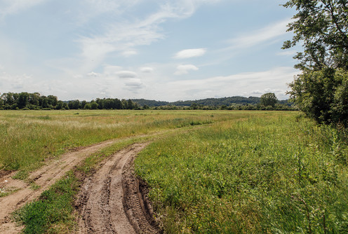 Buduća privredna zona (foto: Đorđe Đoković)