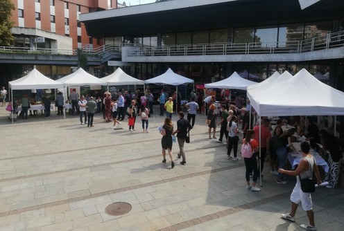 Sajam zapošljavanja (arhiva) (foto: Kolubarske.rs)