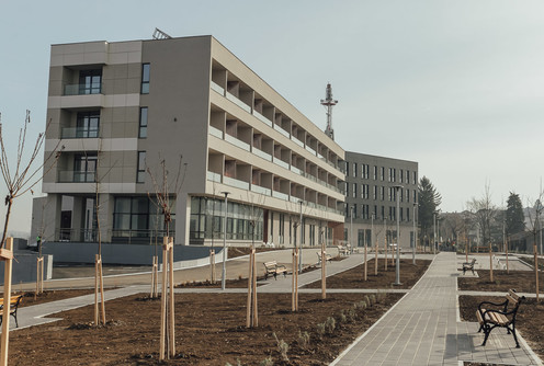 Gerontološki centar (foto: Đorđe Đoković)