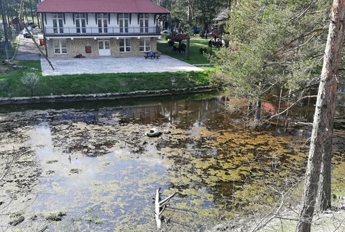 Divčibare (foto: Kolubarske.rs)