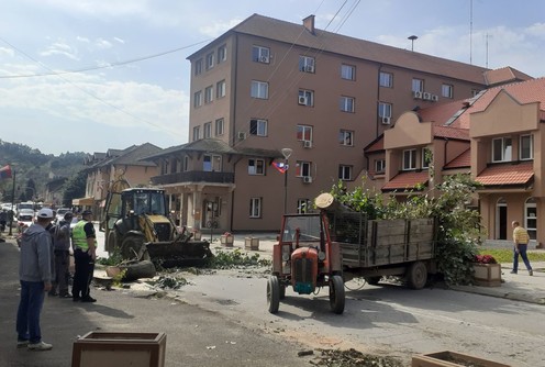 Posečeno drveće kod Opštine (foto: Miroslava Kojić)