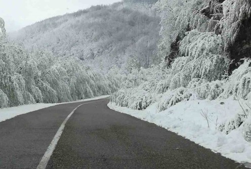 Saobraćajnica (foto: Kolubarske.ts)