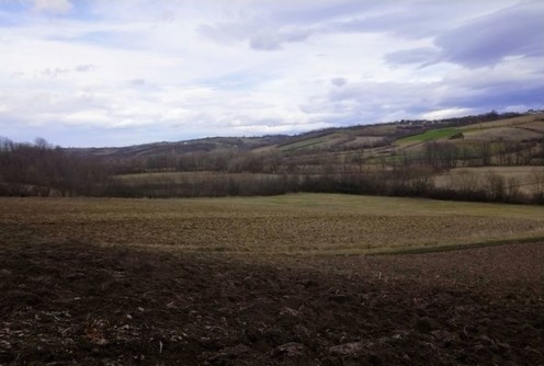 Popučke (foto: Radenko Branković)