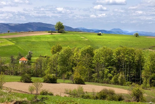 Rajac (foto: Vlada Ivanović)