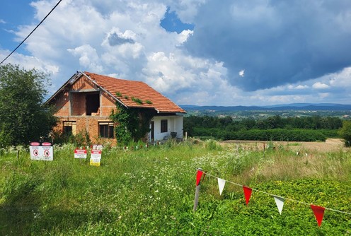 Nedeljice (ilustracija) (foto: Kolubarske.rs)