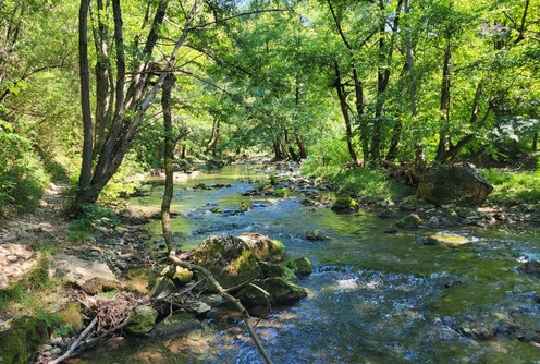 Gradac (foto: Kolubarske.rs)