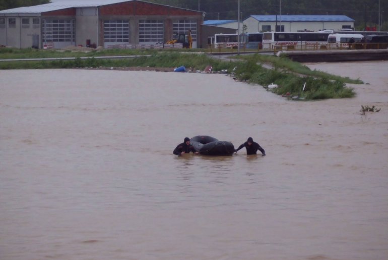 Ub pod vodom (foto: Nebojša Živanović)