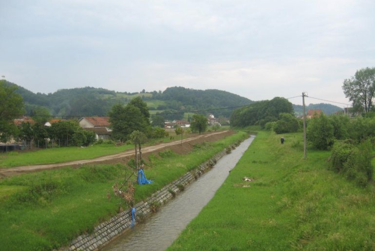 (foto: Dragan Savić)