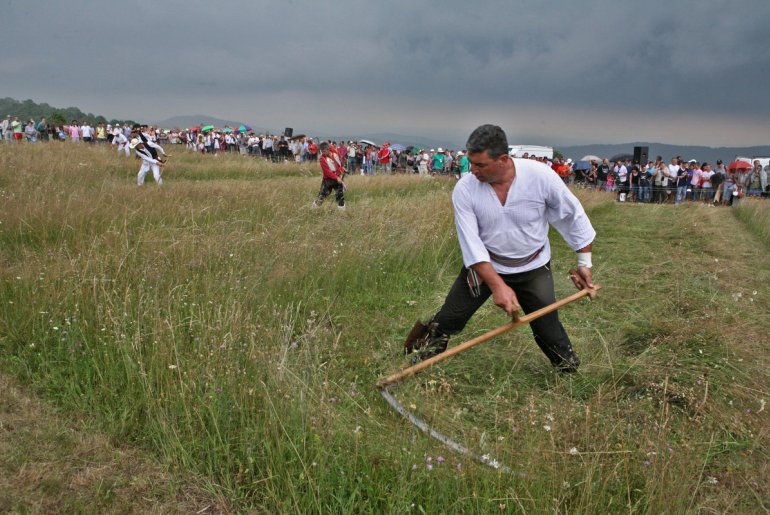 Kosidba na Rajcu (arhiva) (foto: Dušan Jovanović)