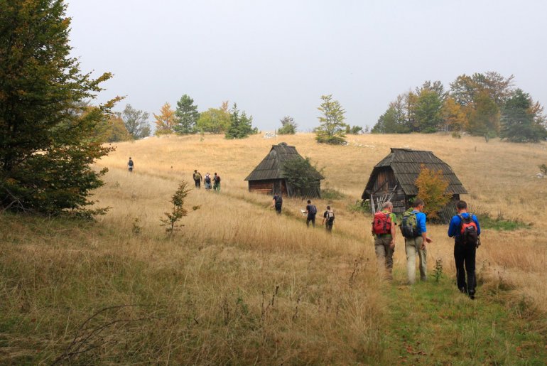 Ekipe na terenu (foto: Wild Serbia, fotografije takmičara)