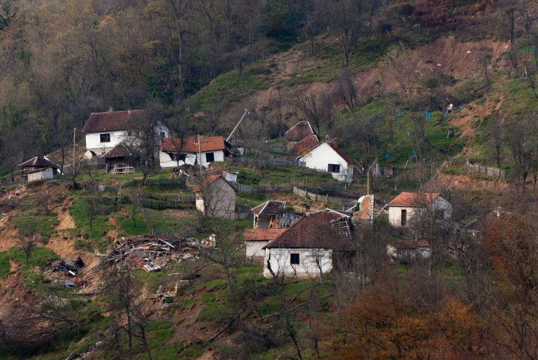 Rebelj (foto: Đorđe Đoković)