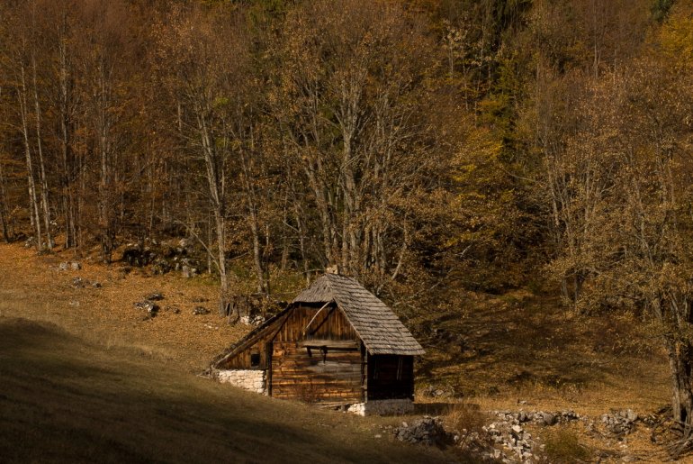 Koliba (foto: Đorđe Đoković)