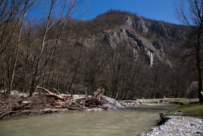 Šareno platno (foto: Đorđe Đoković)