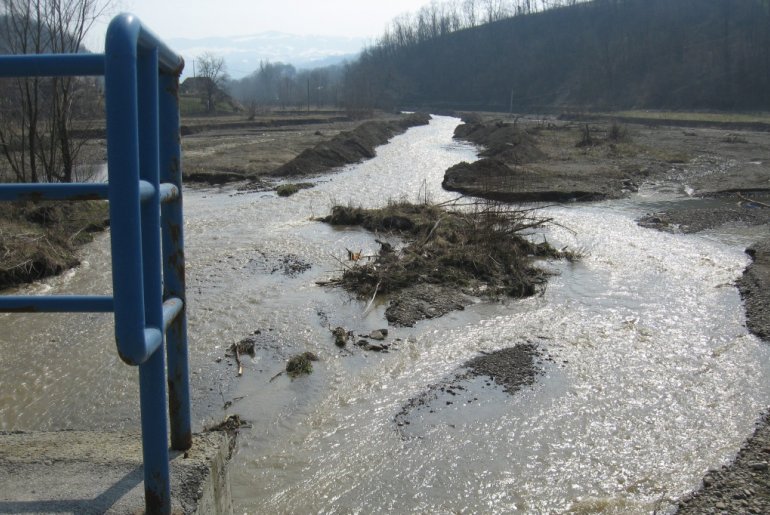 Pecka kod most u Gunjacima (arhiva) (foto: Dragan Savić)