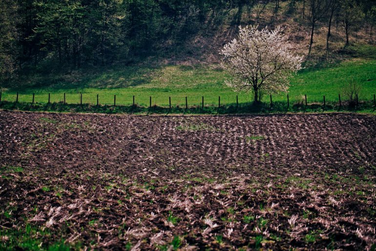 Pored Gradca (foto: Đorđe Đoković)