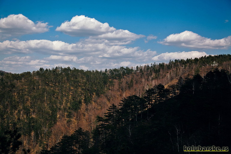 Pogled sa Ljutog krša, Divčibare (foto: Đorđe Đoković)