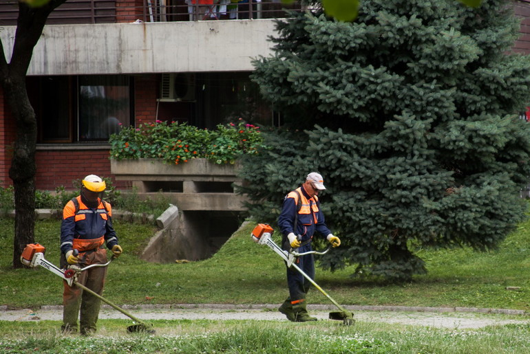 Sređivanje Kolubare 2 (foto: Đorđe Đoković)